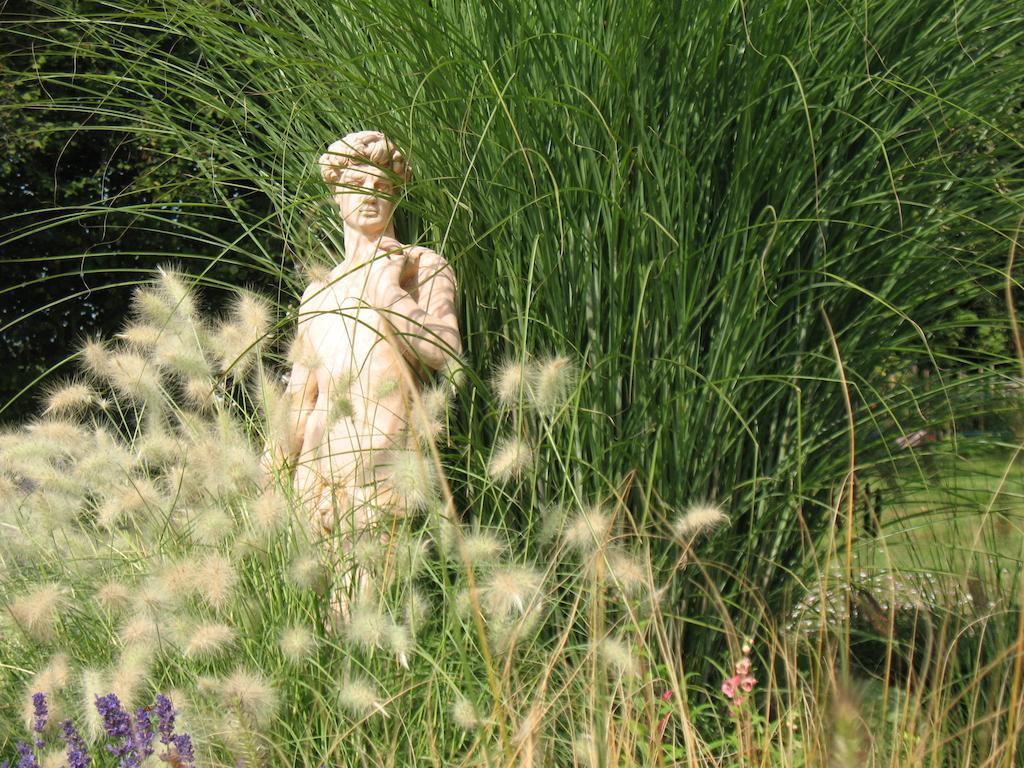 Hotel Domaine De La Jarrige Saint-Vaury Zewnętrze zdjęcie